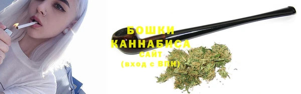 2c-b Инта