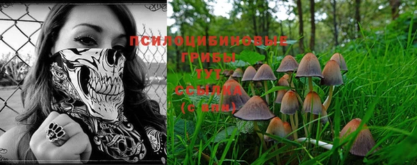 apvp Иннополис