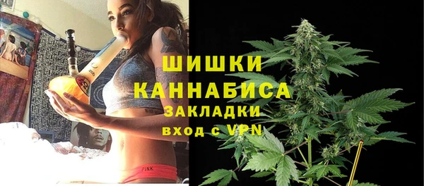 2c-b Инта